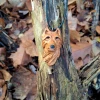 Pieśń Dzikiego Lasu – głowa wilka / Song of the Wild Forest – wolf head